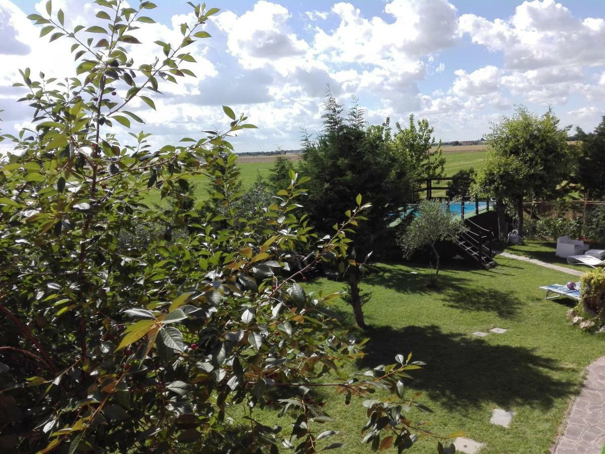 B&B Da Betta Savio di Ravenna Bagian luar foto